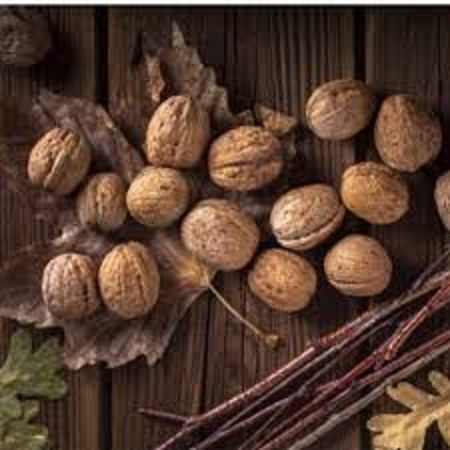 قیمت گردو فسنجانی