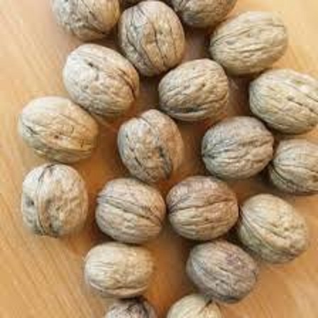 قیمت گردو تویسرکان همدان