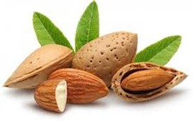 قیمت بادام درختی