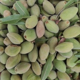 قیمت بادام سبز