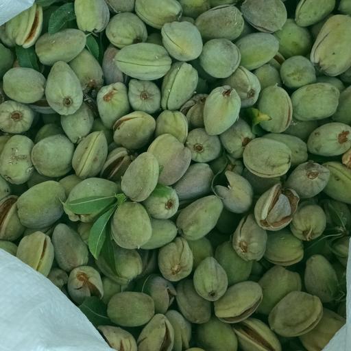 قیمت بادام سبز