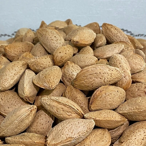 قیمت بادام درختی