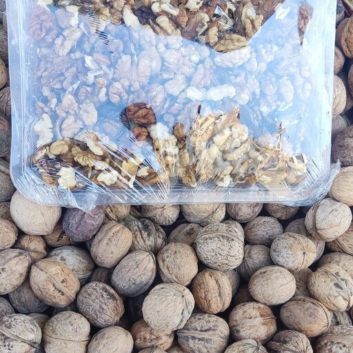 خرید گردو فسنجانی