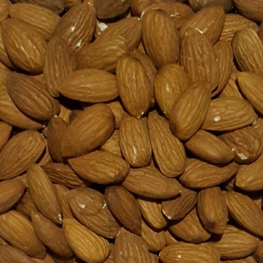 خرید مغز بادام درختی