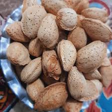 فروش بادام سنگی