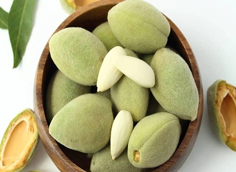 فروش بادام سبز