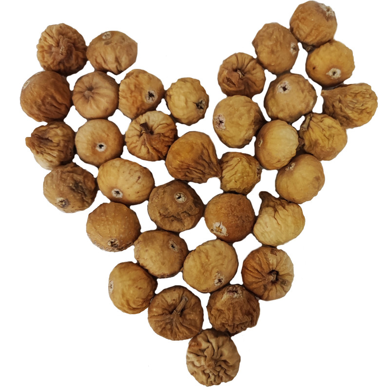 انحیر خشک معمولی