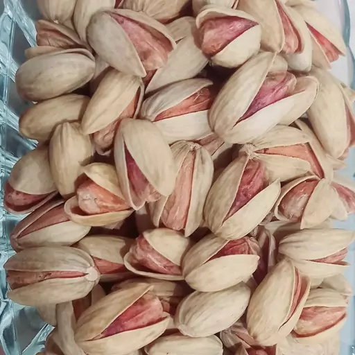 پسته اکبری