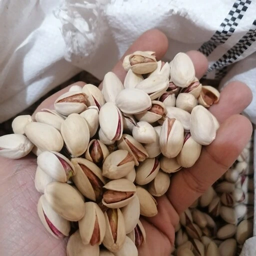 پسته احمد آقایی