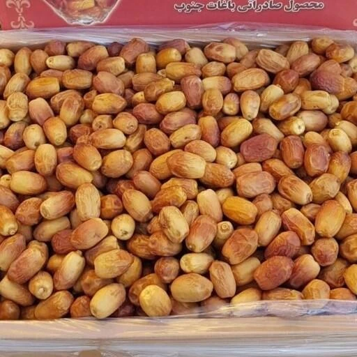 خرما زاهدی چیست
